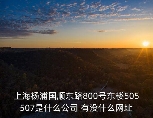 上海市楊浦區曹繼賢有公司嗎，上海楊浦國順東路800號東樓505507是什么公司 有沒什么網址