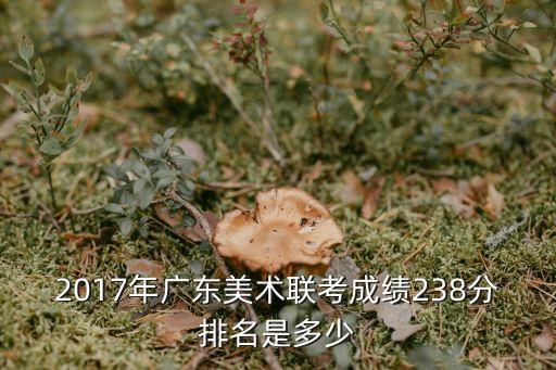 2017廣州美術聯考高分，2017年廣東美術統考分多少分合格