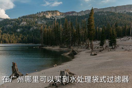 多單袋式過濾器廣州，在廣州哪里可以買到水處理袋式過濾器