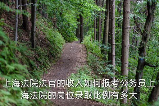 上海法院法官的收入如何報考公務員上海法院的崗位錄取比例有多大