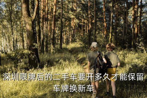 深圳保留車牌 快遞時間，深圳保留車牌 求問鐵牌多久可以拿到