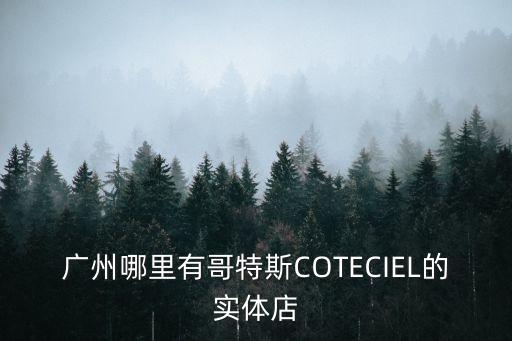 廣州哪里有哥特斯COTECIEL的實體店