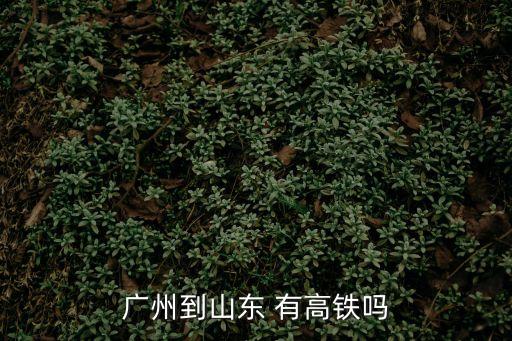 山東到廣州有高鐵嗎，請問山東騰州有到廣州直達的高鐵嗎大概多少錢呢