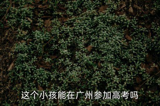 這個小孩能在廣州參加高考嗎