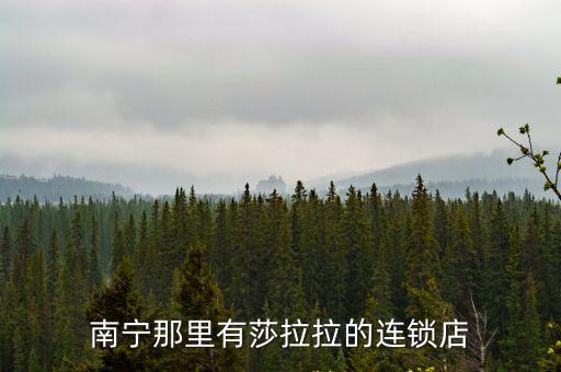 安信信托廣州碧園項(xiàng)目貼吧，南寧那里有莎拉拉的連鎖店
