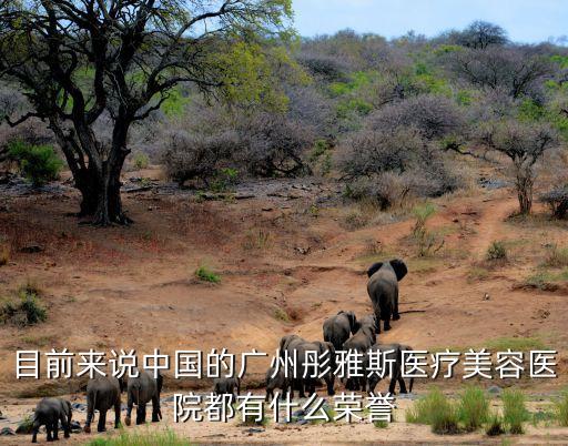 目前來說中國的廣州彤雅斯醫療美容醫院都有什么榮譽