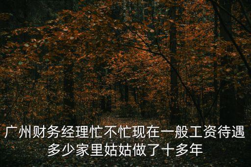 廣州財務(wù)經(jīng)理忙不忙現(xiàn)在一般工資待遇多少家里姑姑做了十多年