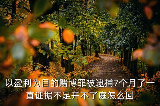 河南抓獲廣州賭博案，朋友為賭博者提供場地并被當場抓獲搜出賬本和大量現金現金
