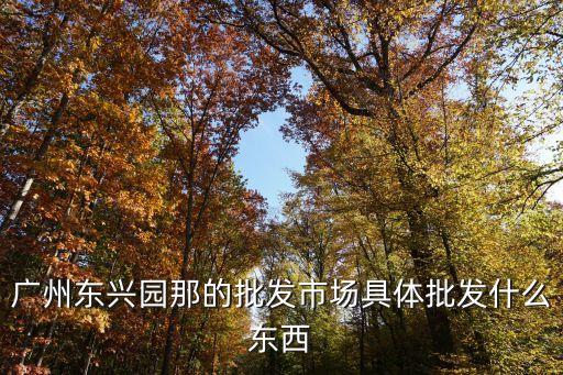 廣州東興園那的批發市場具體批發什么東西