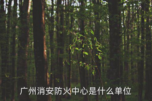 廣州消安防火中心是什么單位