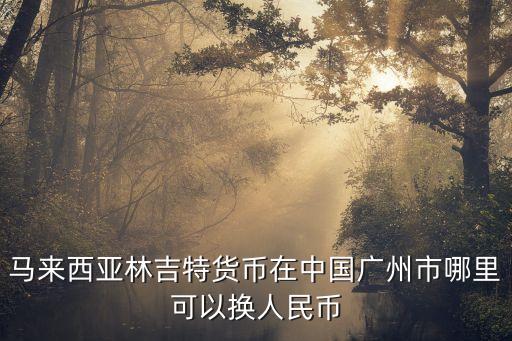 zimmerbiomet中國廣州，馬來西亞林吉特貨幣在中國廣州市哪里可以換人民幣