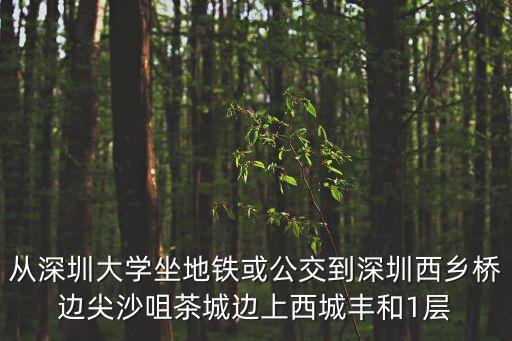 從深圳大學坐地鐵或公交到深圳西鄉橋邊尖沙咀茶城邊上西城豐和1層