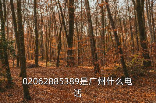 02062885389是廣州什么電話