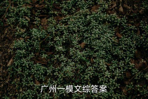 2020廣州一測(cè)文綜歷史題，廣州一模文綜答案