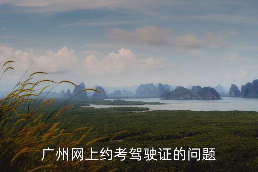 廣州網(wǎng)上約考駕駛證的問題