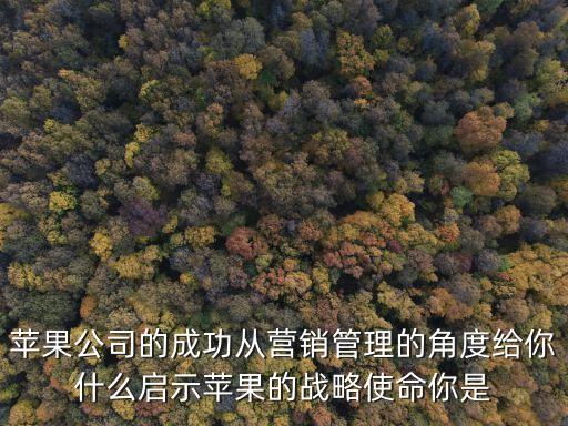 蘋果公司的成功從營銷管理的角度給你什么啟示蘋果的戰略使命你是