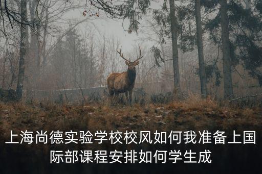 上海尚德實驗學校校風如何我準備上國際部課程安排如何學生成