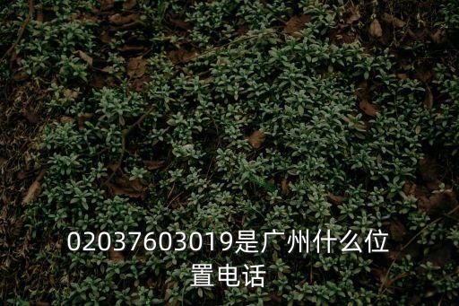廣州自行車協會地址電話，02037603019是廣州什么位置電話