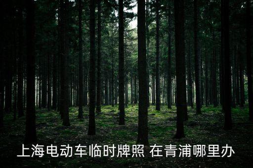 上海市電動車管理方法，電動車沒牌子讓交警大隊開單子給怎么辦呢