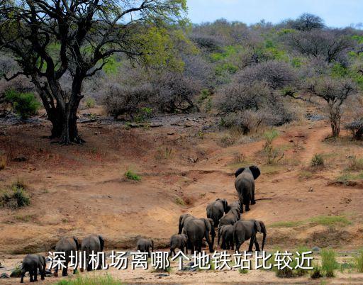 深圳機(jī)場(chǎng)離哪個(gè)地鐵站比較近