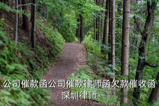 廣東深圳 陳東律師，深圳法律咨詢律師電話