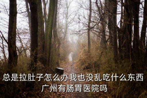 總是拉肚子怎么辦我也沒亂吃什么東西 廣州有腸胃醫院嗎