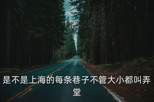 是不是上海的每條巷子不管大小都叫弄堂