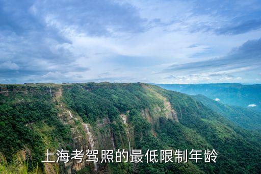 上海市駕駛員平均年齡，現在上海開車可以開到啥年齡啊聽說可以開到70歲是嗎