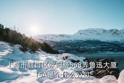 上海市虹口區歐陽路568弄魯迅大廈15A是個什么公司