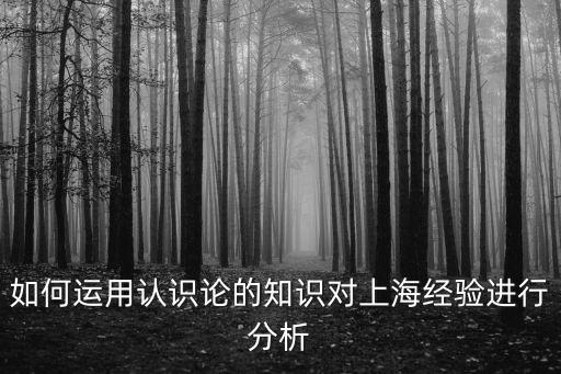 如何運(yùn)用認(rèn)識(shí)論的知識(shí)對上海經(jīng)驗(yàn)進(jìn)行分析