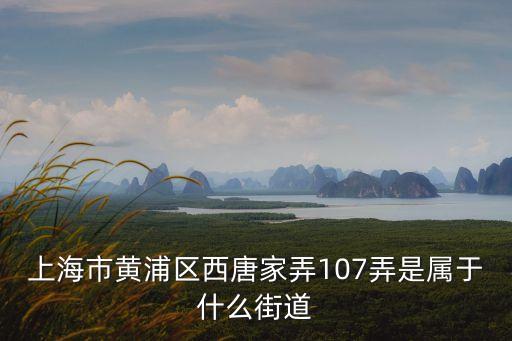 上海市黃浦區(qū)西唐家弄107弄是屬于什么街道