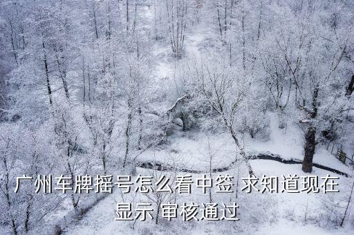 廣州車牌搖號怎么看中簽 求知道現在顯示 審核通過