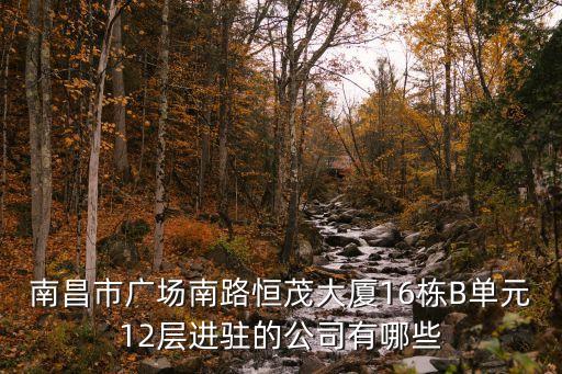 南昌市廣場南路恒茂大廈16棟B單元12層進(jìn)駐的公司有哪些