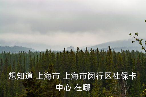 上海市閔行區(qū)社區(qū)住房保障服務(wù)，閔行區(qū)龍柏新村社保中心社區(qū)網(wǎng)點在哪里