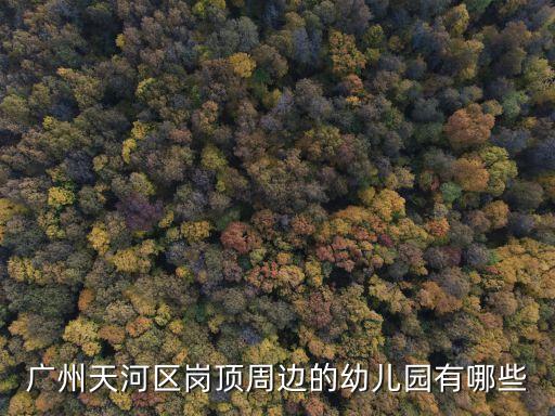 廣州天河區(qū)崗頂周邊的幼兒園有哪些