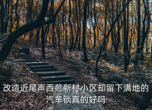改造近尾聲西苑新村小區卻留下滿地的汽車鎖真的好嗎