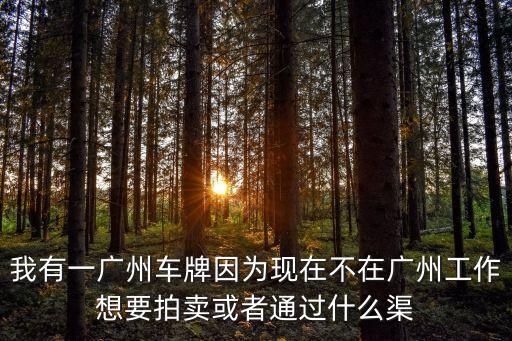 我有一廣州車牌因為現(xiàn)在不在廣州工作想要拍賣或者通過什么渠