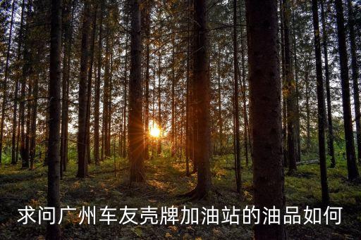 廣州永泰殼牌加油站爆炸，永泰會有地震嗎