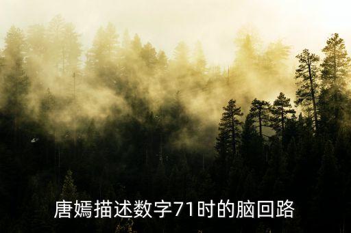 唐嫣描述數(shù)字71時(shí)的腦回路