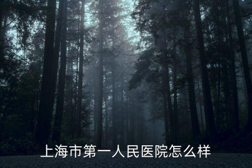 上海市第一人民醫(yī)院怎么樣