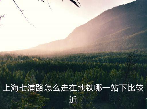 上海七浦路怎么走在地鐵哪一站下比較近