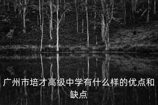 廣州市培才高級(jí)中學(xué)有什么樣的優(yōu)點(diǎn)和缺點(diǎn)