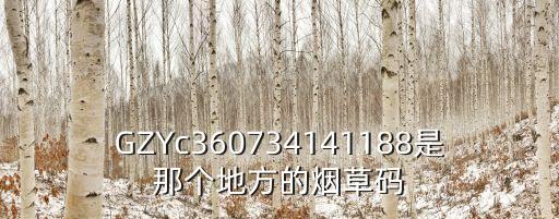 廣州煙草區域代碼大全，分別指出EAN13 693 69838 0002 3地區代碼生產廠代碼商品項目