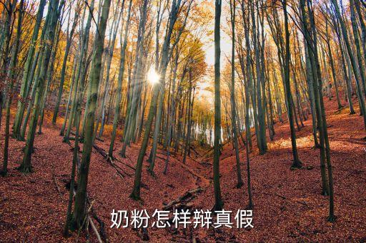 奶粉怎么辨別真假，奶粉怎樣辯真假