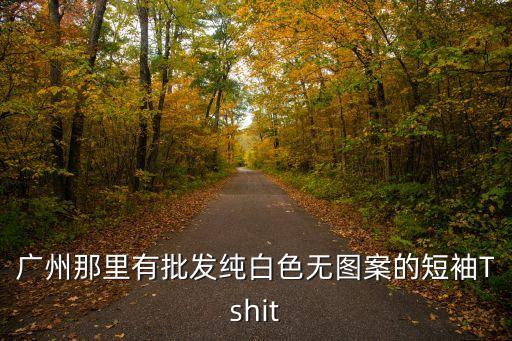 廣州那里有批發(fā)純白色無圖案的短袖Tshit