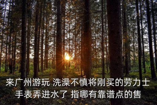來廣州游玩 洗澡不慎將剛買的勞力士手表弄進水了 指哪有靠譜點的售