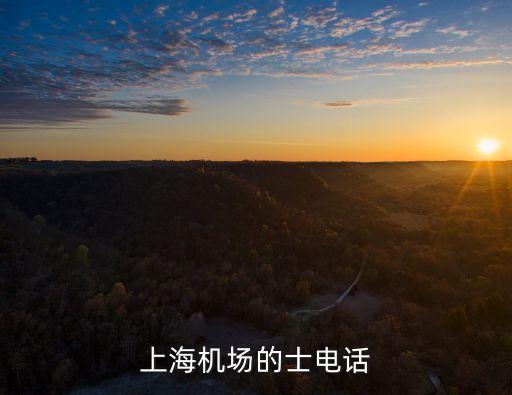 上海機場的士電話