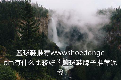 籃球鞋推薦wwwshoedongcom有什么比較好的籃球鞋牌子推薦呢我
