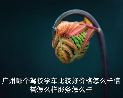 廣州哪個(gè)駕校學(xué)車比較好價(jià)格怎么樣信譽(yù)怎么樣服務(wù)怎么樣