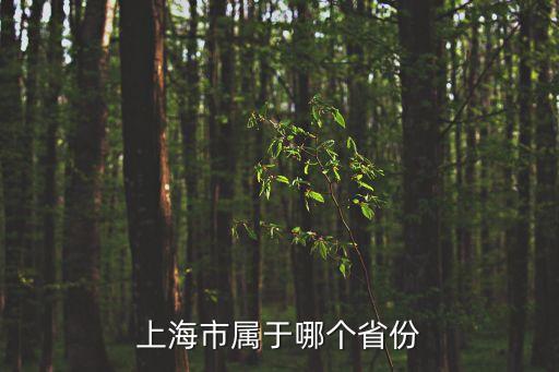 上海市四大屬于什么單位，上海市 屬于哪個省